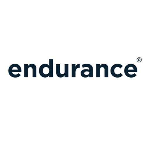 Logo Endurance Motive